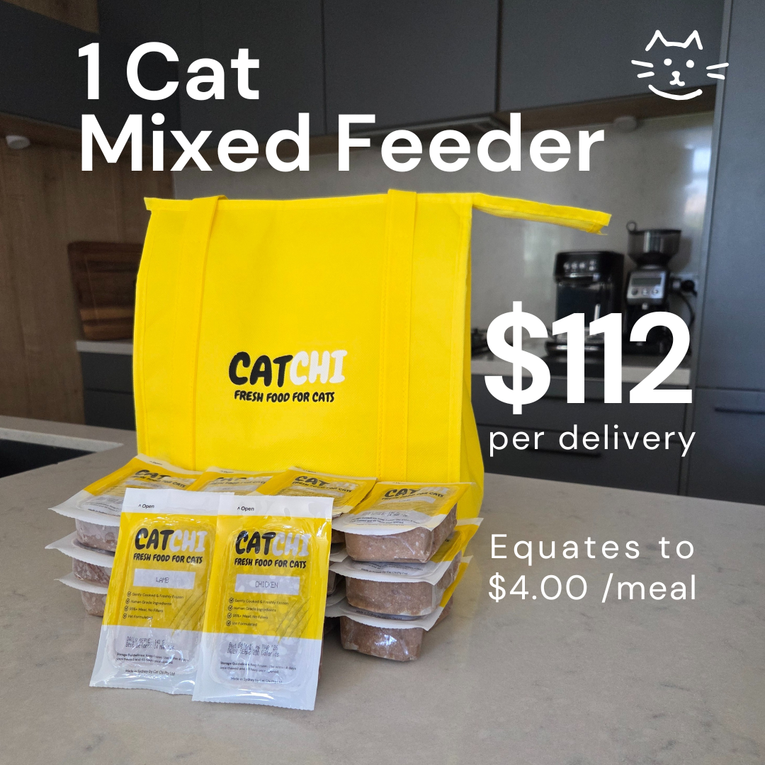 1 Cat Mixed Feeder