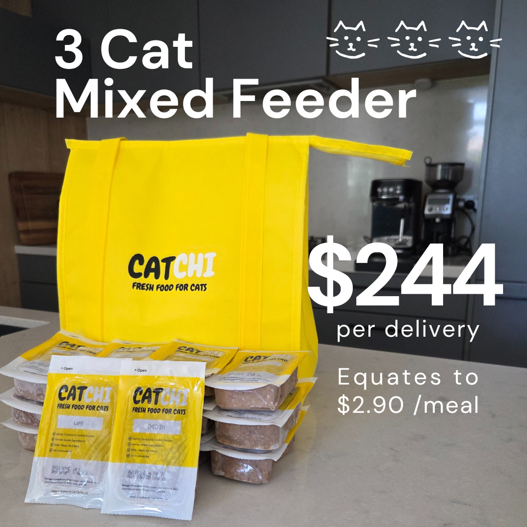 3 Cat Mixed Feeder