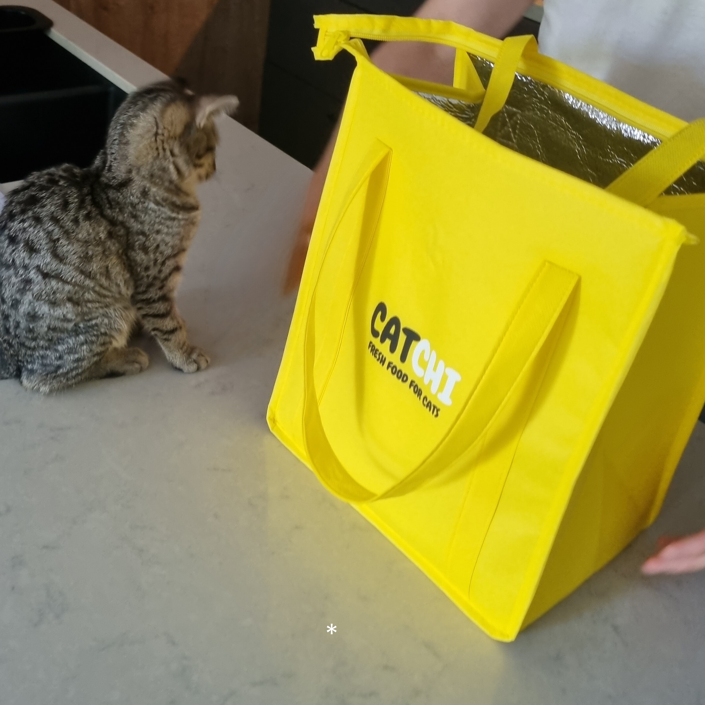 Frozen fresh, delivered to your door.