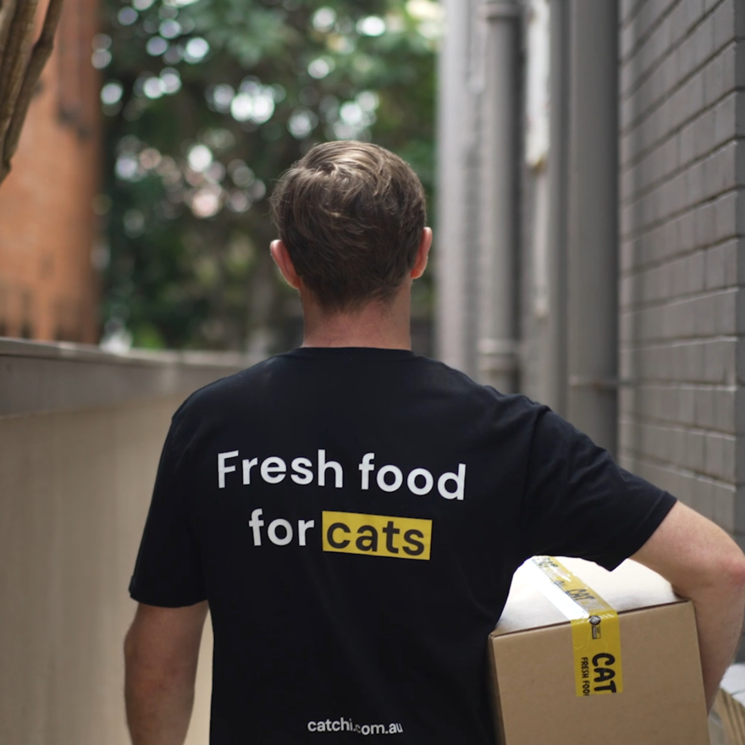 Which Fresh Cat Food Is Best in Australia? (2026)