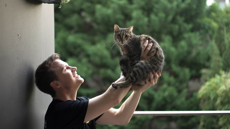CatChi Available to 75% of Australia's population; launching in Queensland