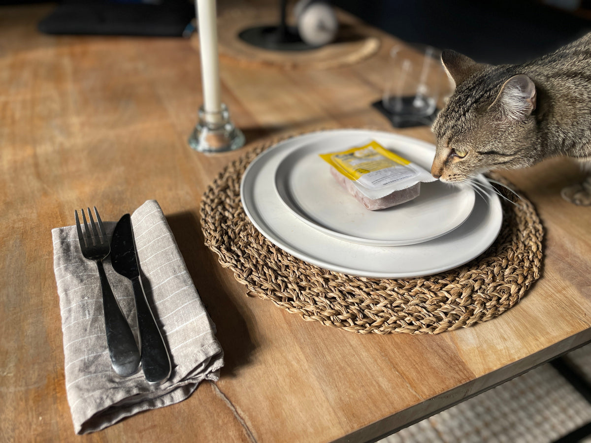 Best Cat Food in Australia 2025