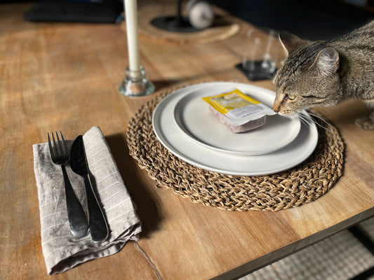 Best Cat Food in Australia 2025