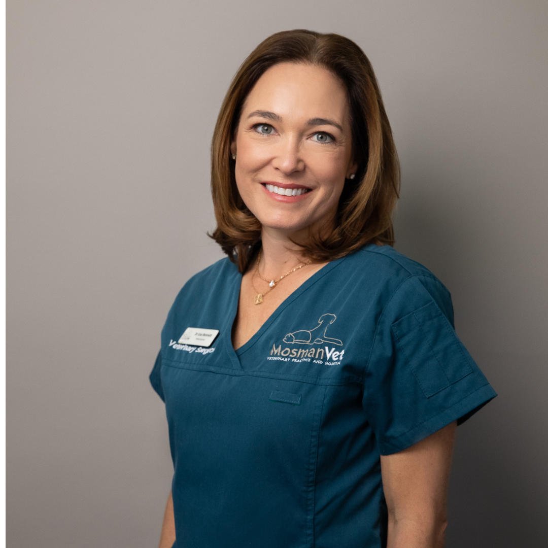 Dr Lisa Bennet, feline vet