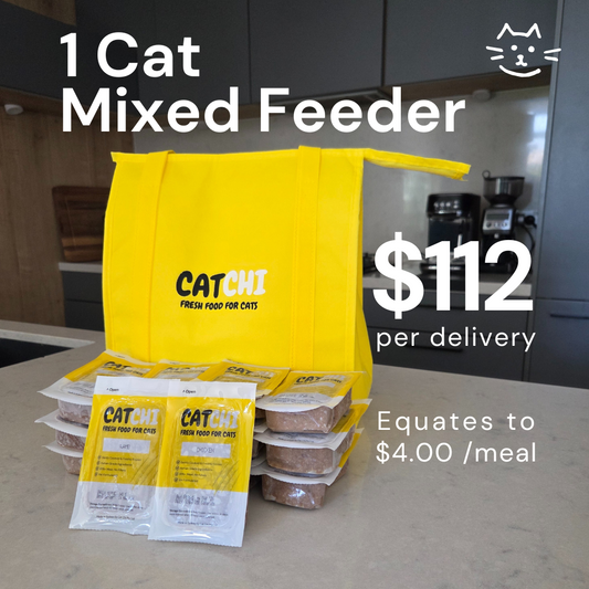 1 Cat Mixed Feeder