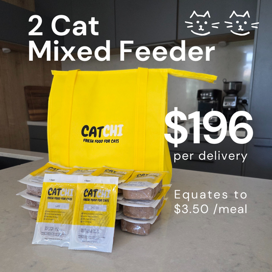 2 Cat Mixed Feeder