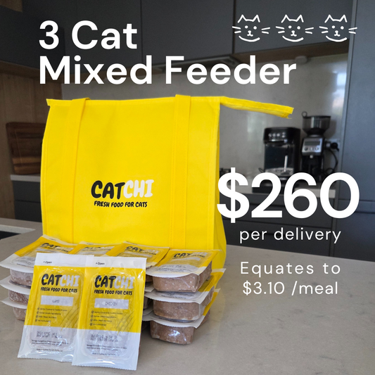 3 Cat Mixed Feeder