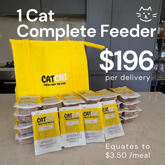 1 Cat Complete Feeder