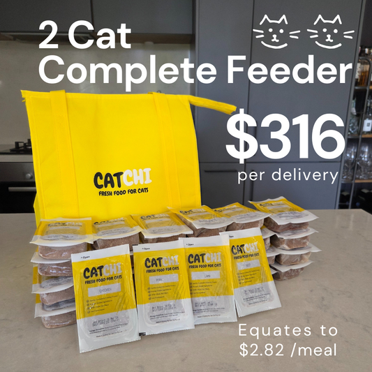 2 Cat Complete Feeder
