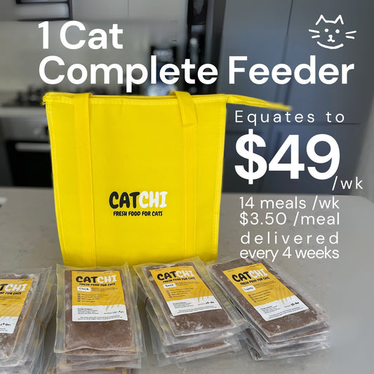 1 Cat Complete Feeder