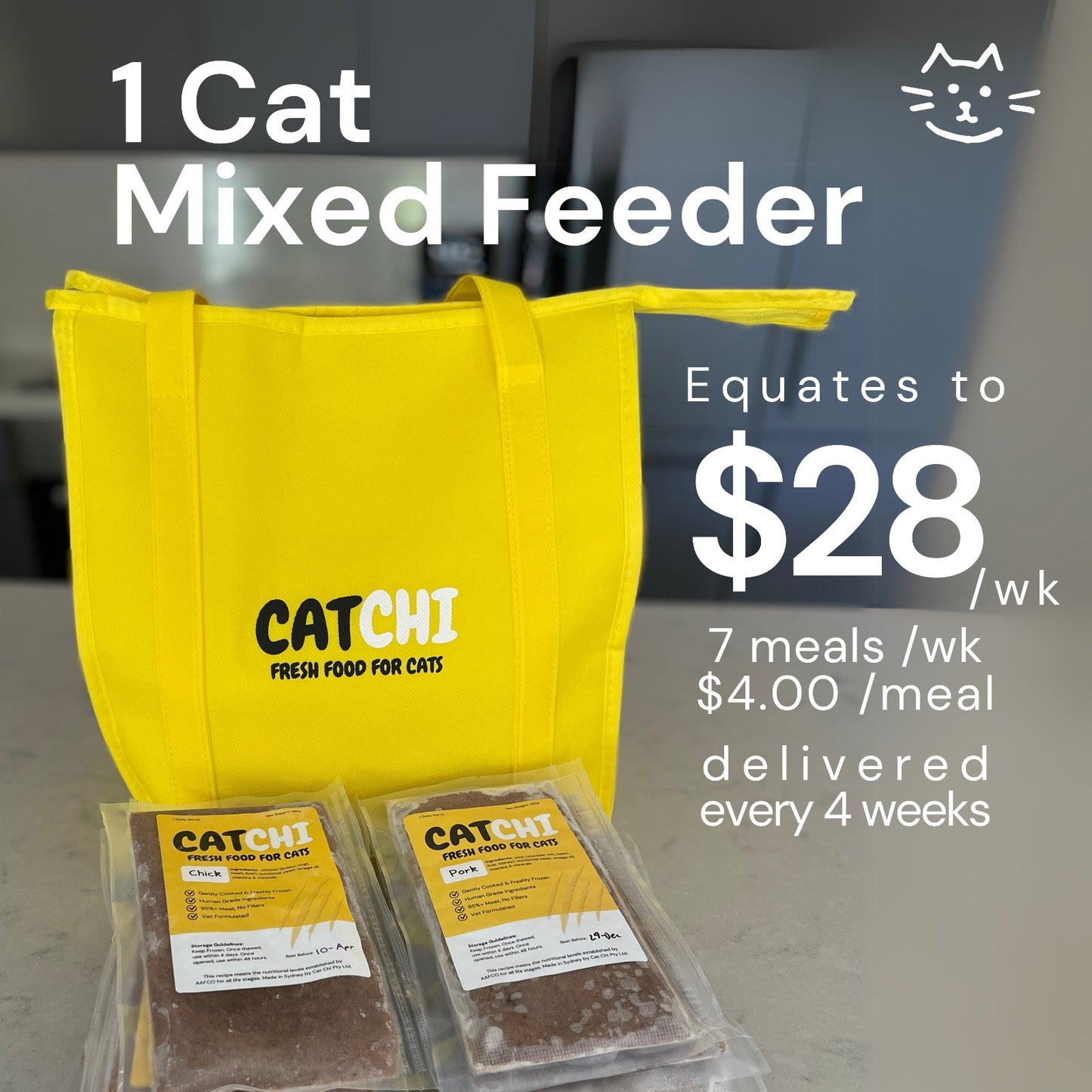 1 Cat Mixed Feeder