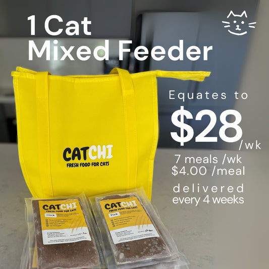 1 Cat Mixed Feeder