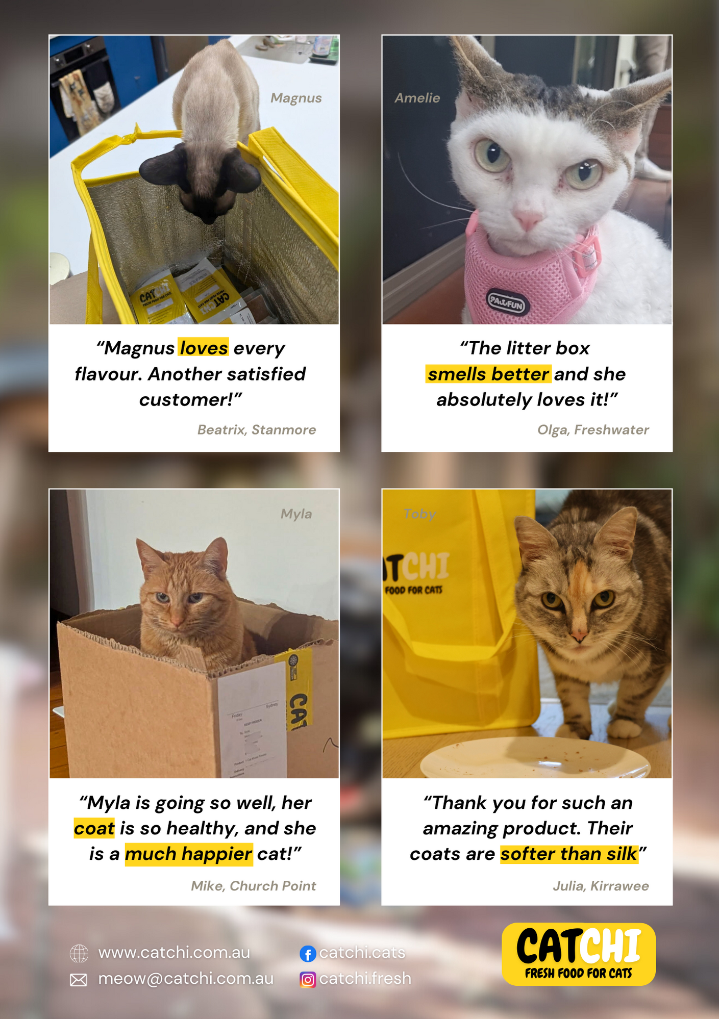 CatChi welcome pack page 20