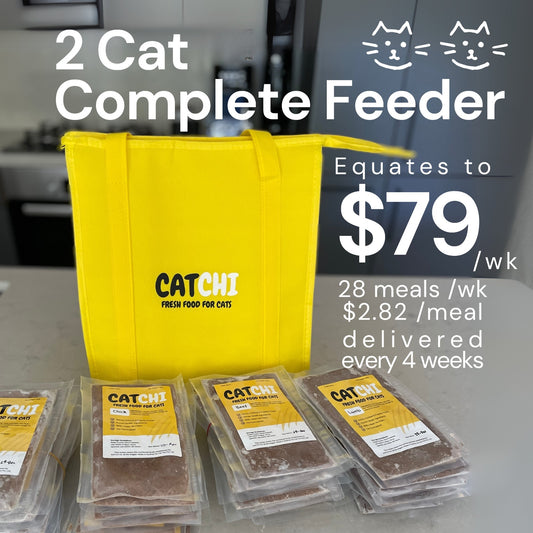 2 Cat Complete Feeder