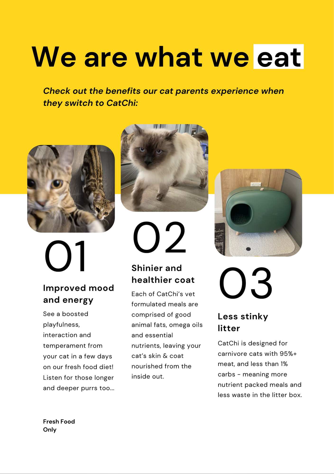 CatChi welcome pack page 3