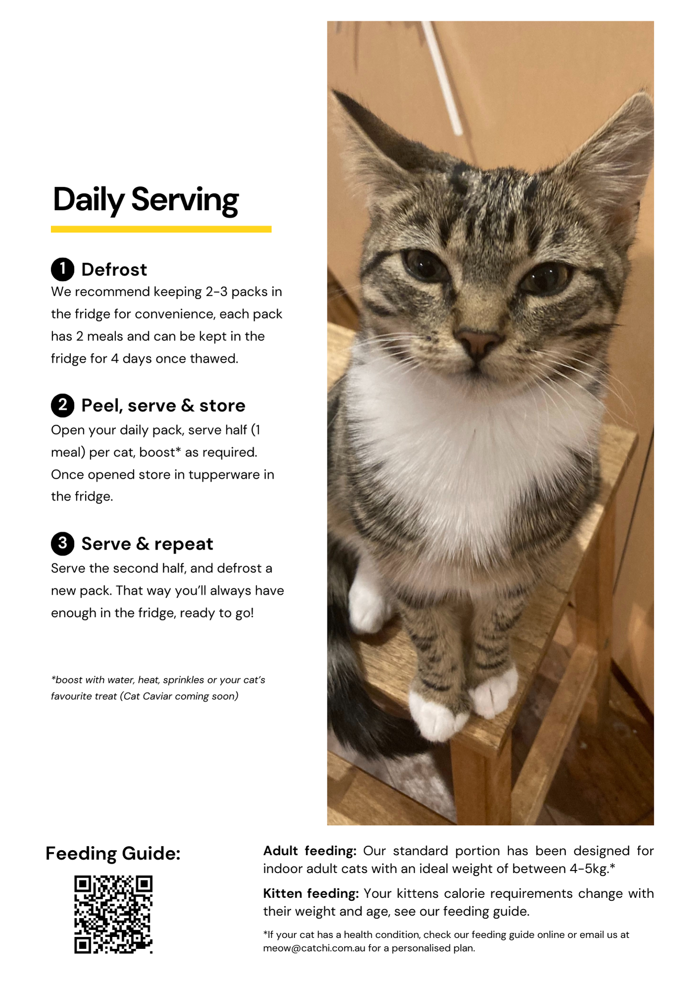 CatChi welcome pack page 5