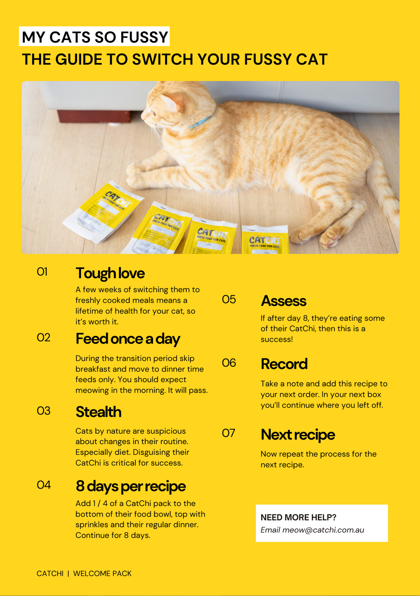 CatChi welcome pack page 7