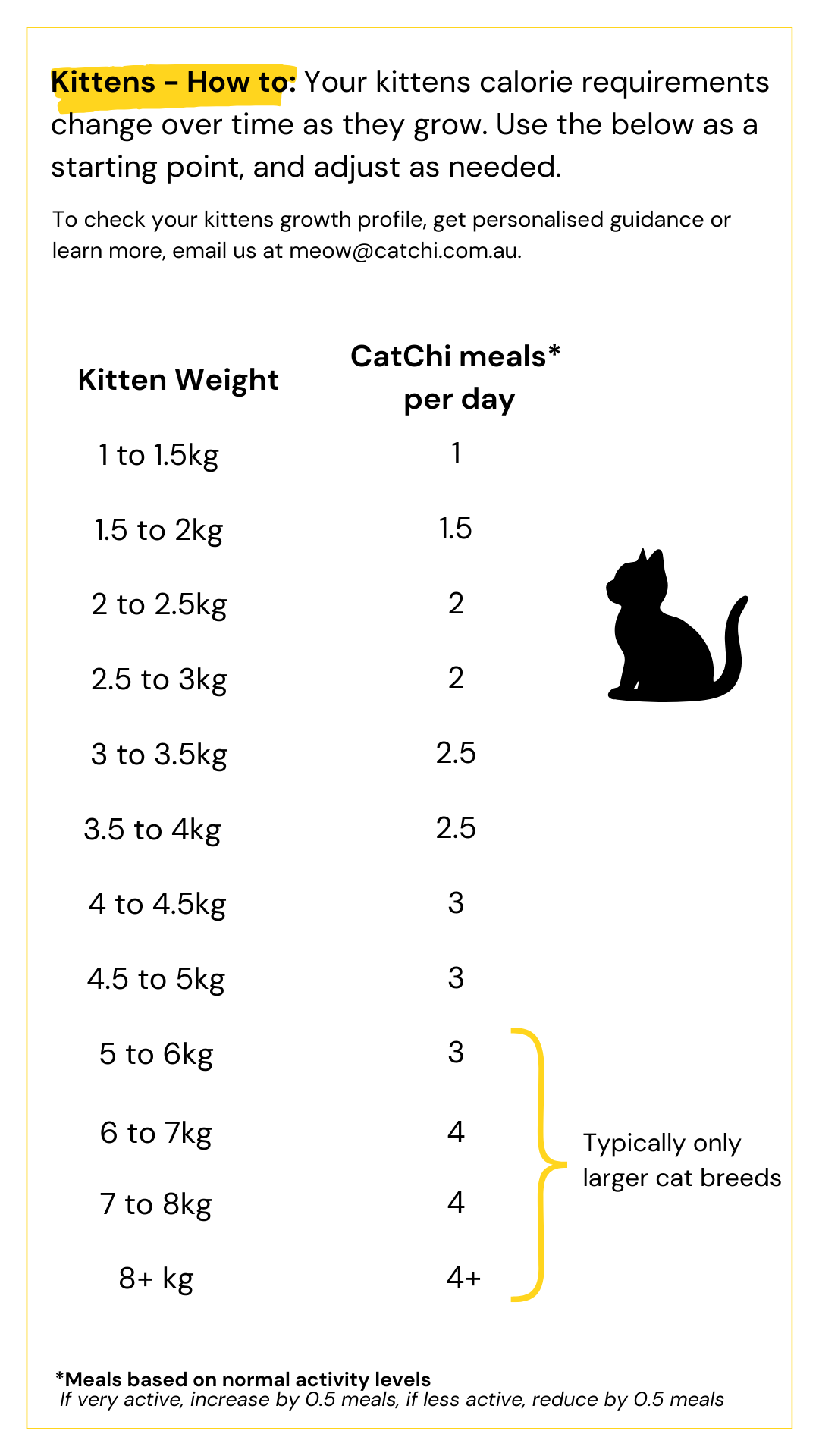 Kitten feeding guide
